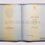 диплом 2010-2011 впо